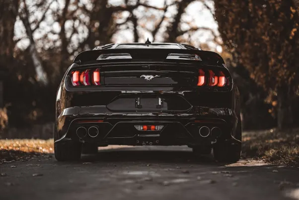 Winning Casino Android/iOS App